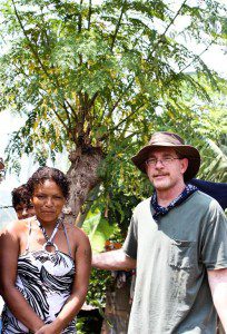 Moringa trees in Nicaragua