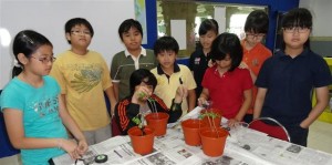 Jakarta kids re-potting moringa