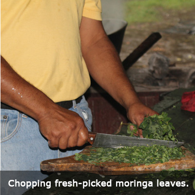 2 Nica-chopping moringa