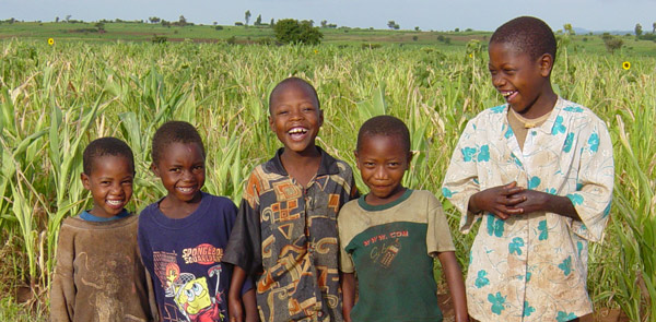 Boys-in-cornfield